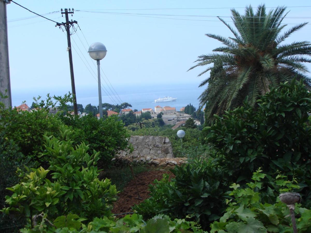 Rosetta * Dubrovnik